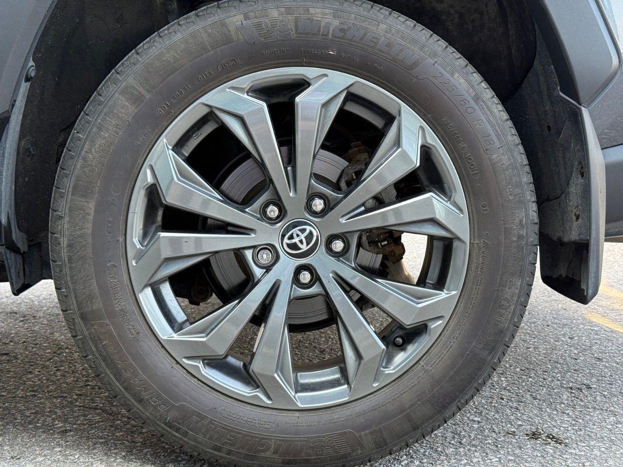 12695781