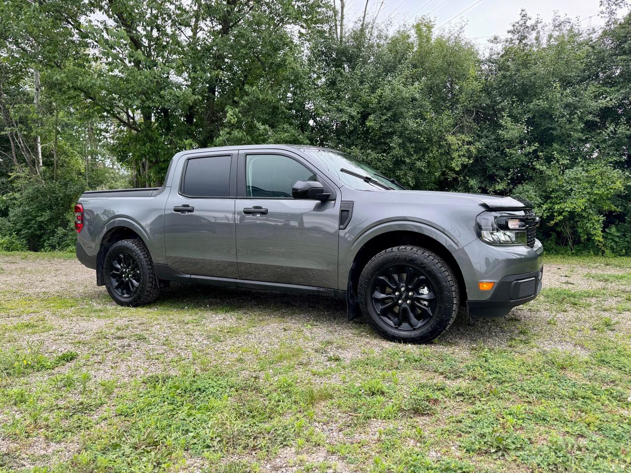 2024 Ford Maverick XLT AWD SuperCrew 2900KMS | Moonroof | One Owner - Photo #3