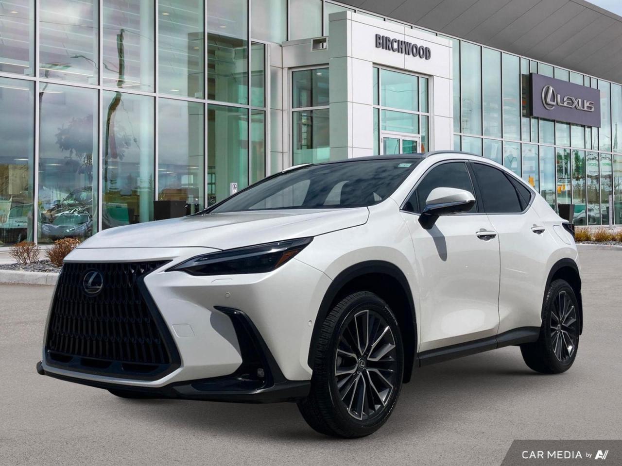 New 2025 Lexus NX 350 Executive for sale in Winnipeg, MB