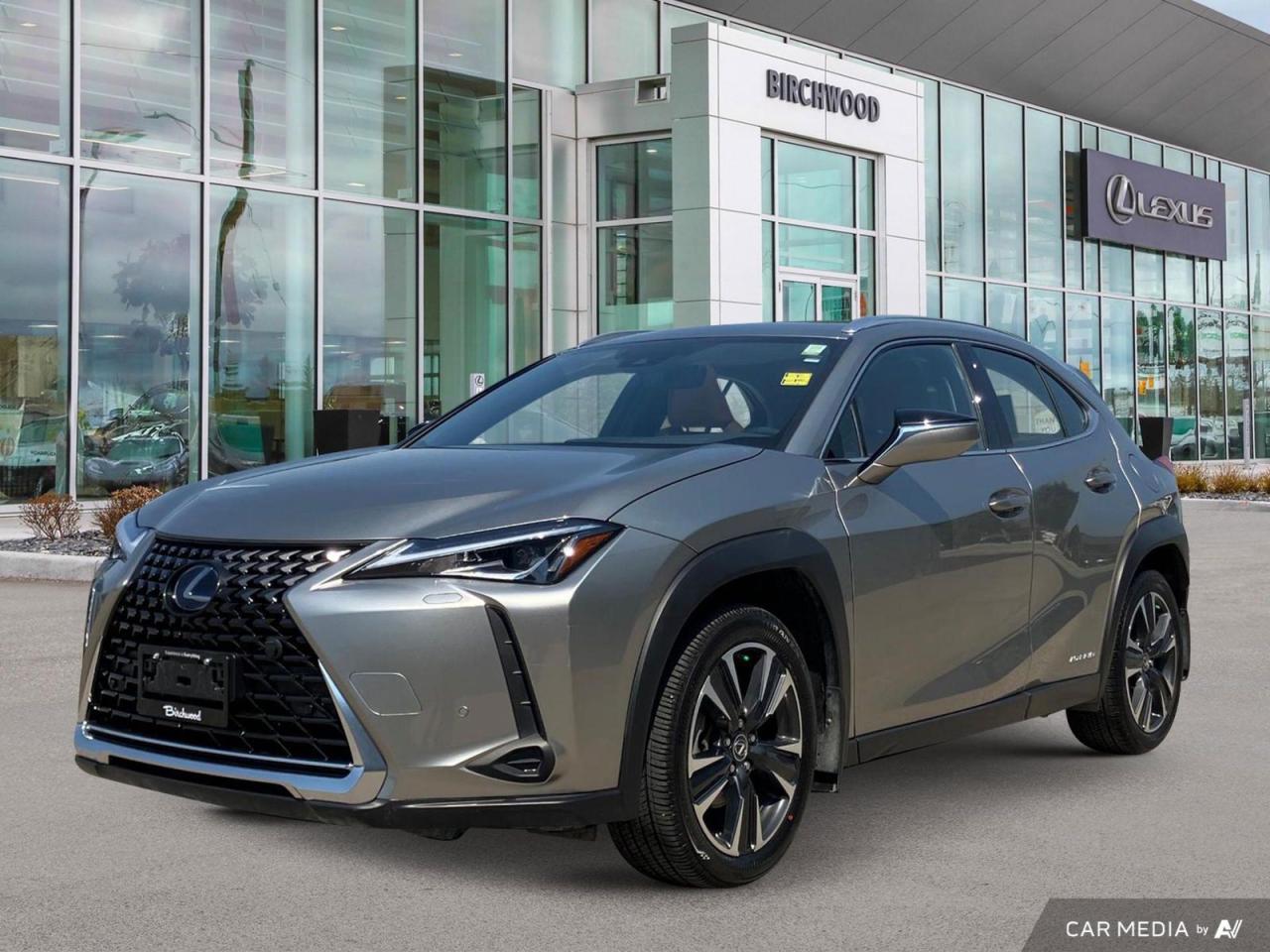 Used 2021 Lexus UX 250h Luxury PKG Hybrid CPO & Local for sale in Winnipeg, MB