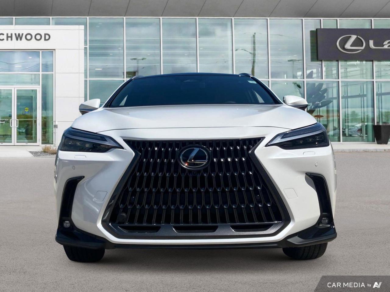 New 2025 Lexus NX 350H Executive for sale in Winnipeg, MB