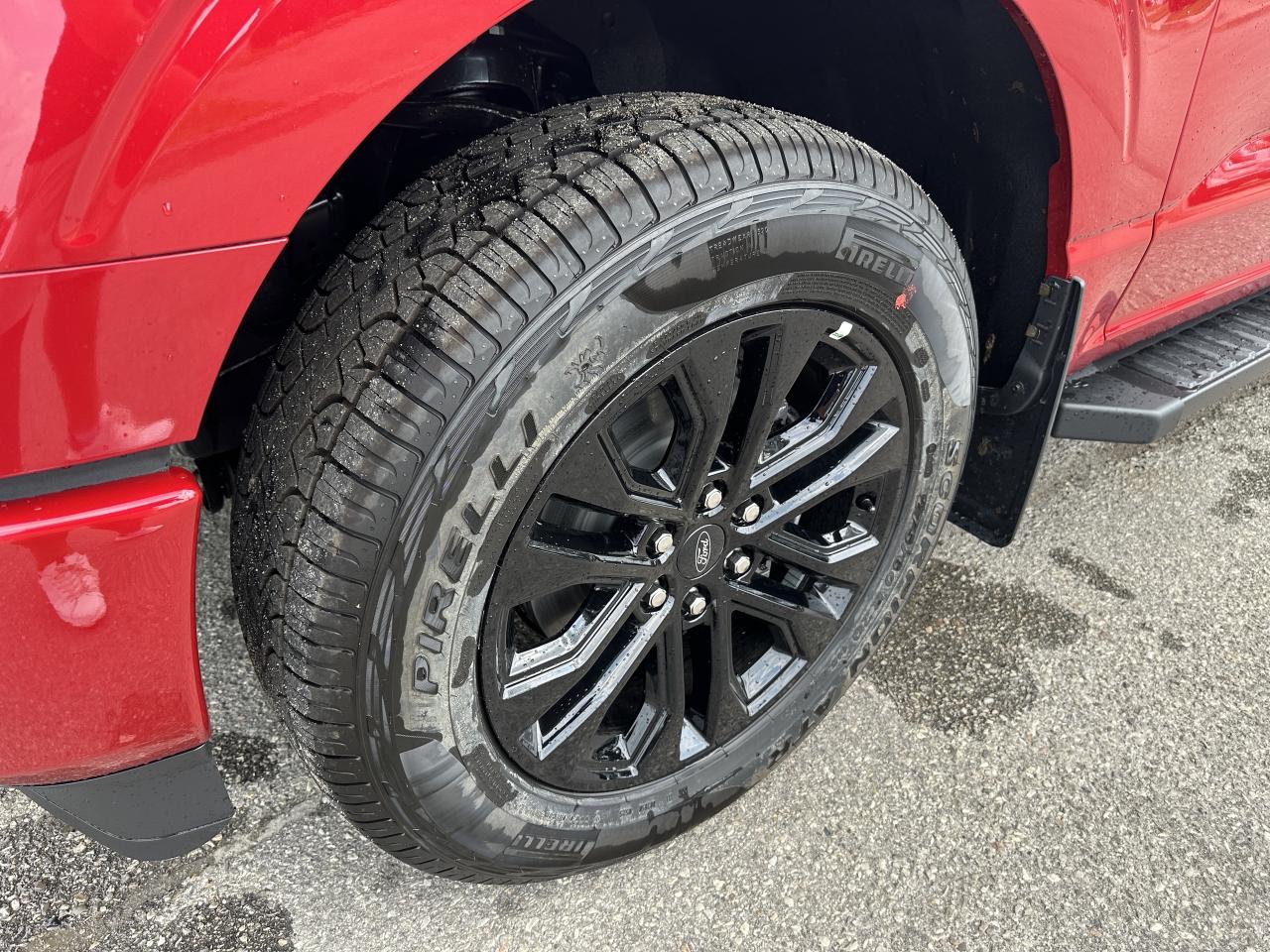 2025 Ford F-150 XLT/COMPANY DEMO!/HARD COVER INCLUDED!!!! Photo