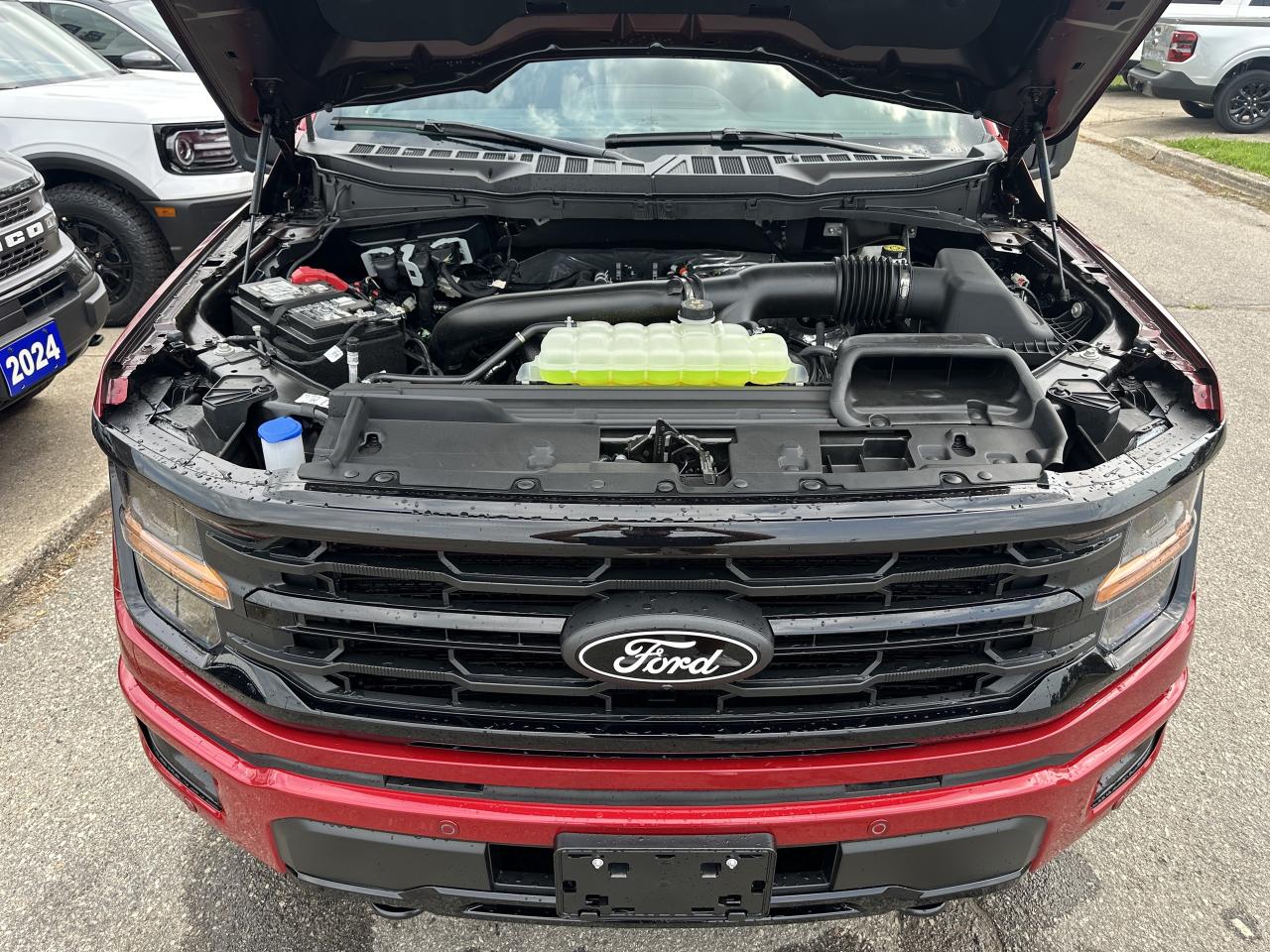 2025 Ford F-150 XLT/COMPANY DEMO!/HARD COVER INCLUDED!!!! Photo