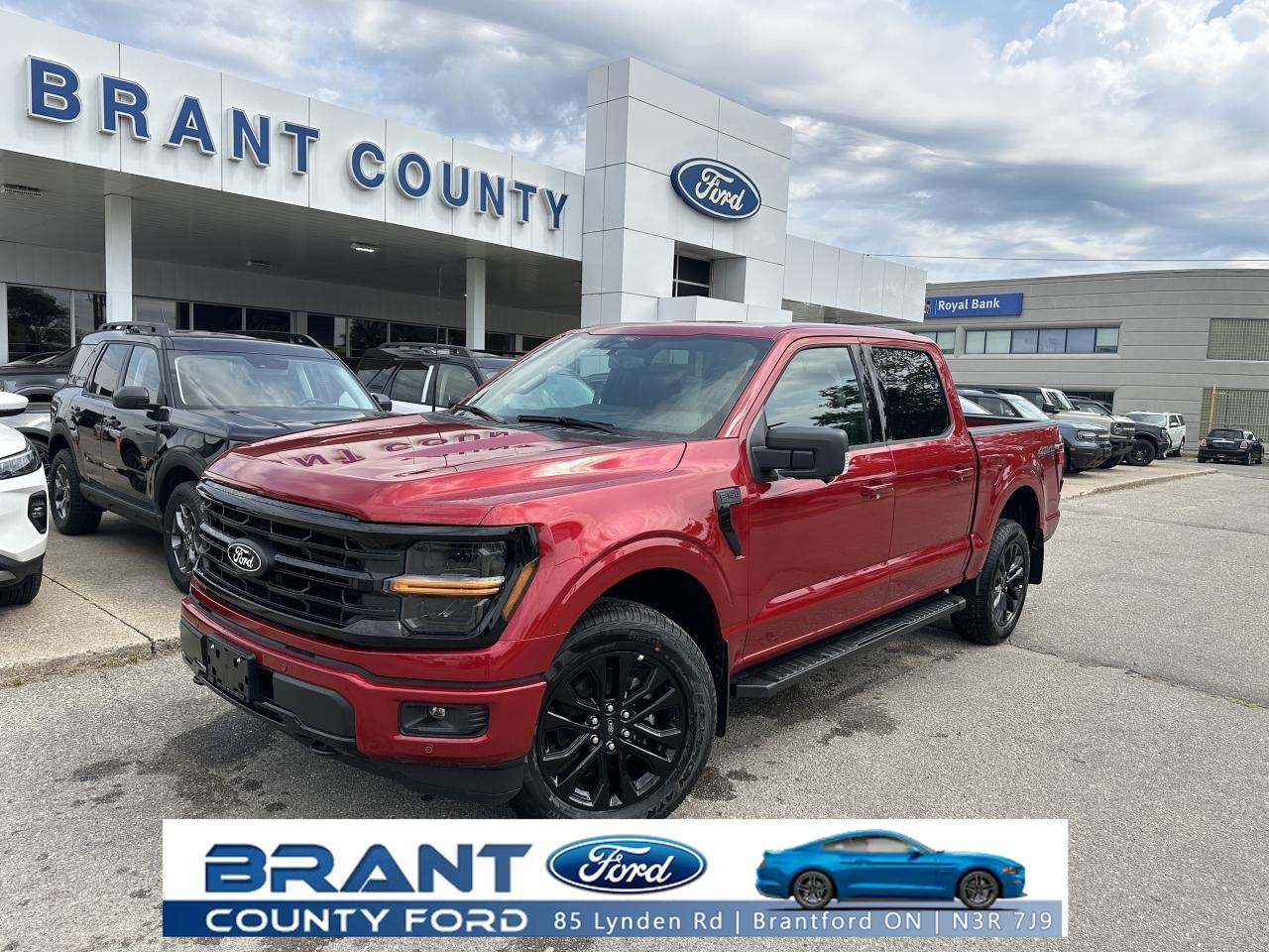 2025 Ford F-150 XLT Photo0