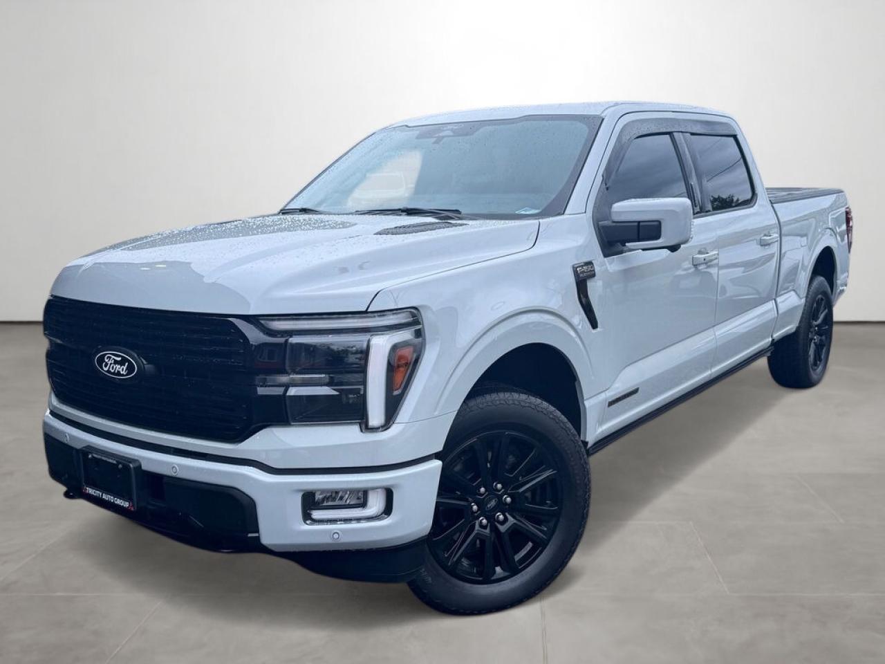 Used 2024 Ford F-150 Platinum - Ventilated Leather Seats, 360 Cameras for sale in Coquitlam, BC