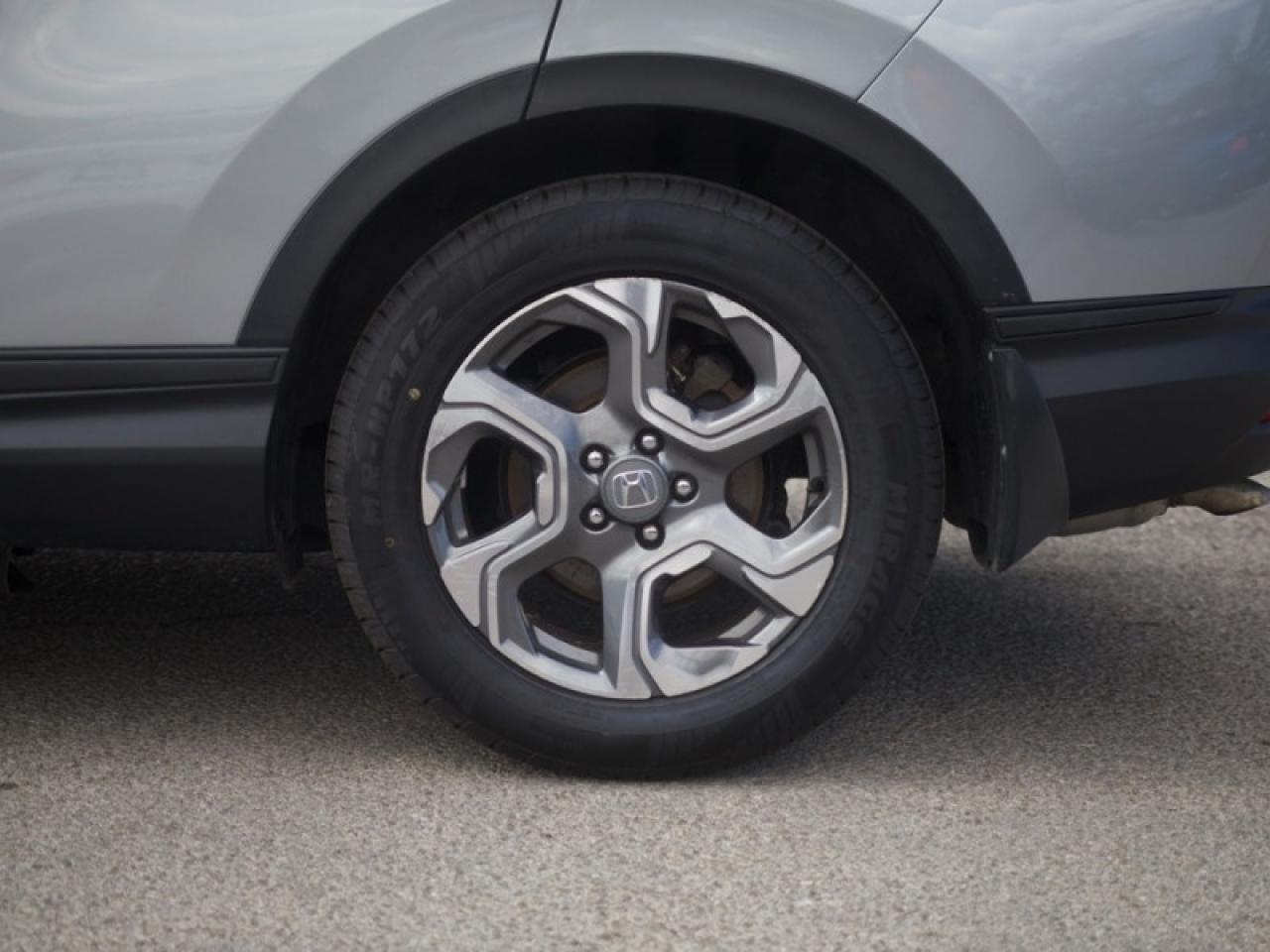2019 Honda CR-V EX-L  **LOW MILEAGE** Photo