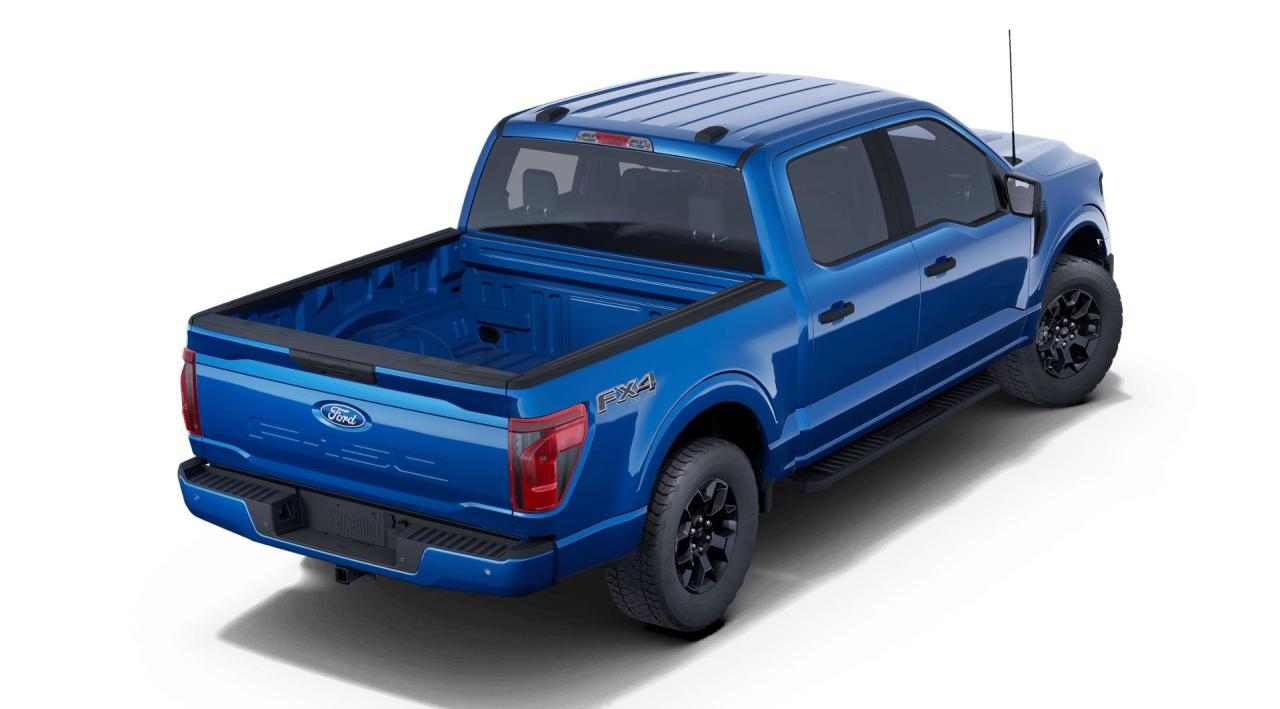 2025 Ford F-150 STX 4WD SuperCrew 5.5' Box 201A Photo2