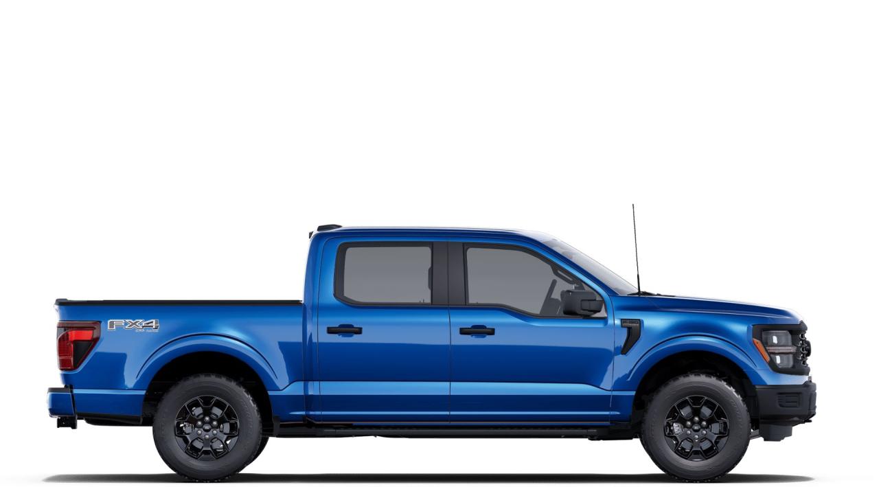 2025 Ford F-150 STX 4WD SuperCrew 5.5' Box 201A Photo4