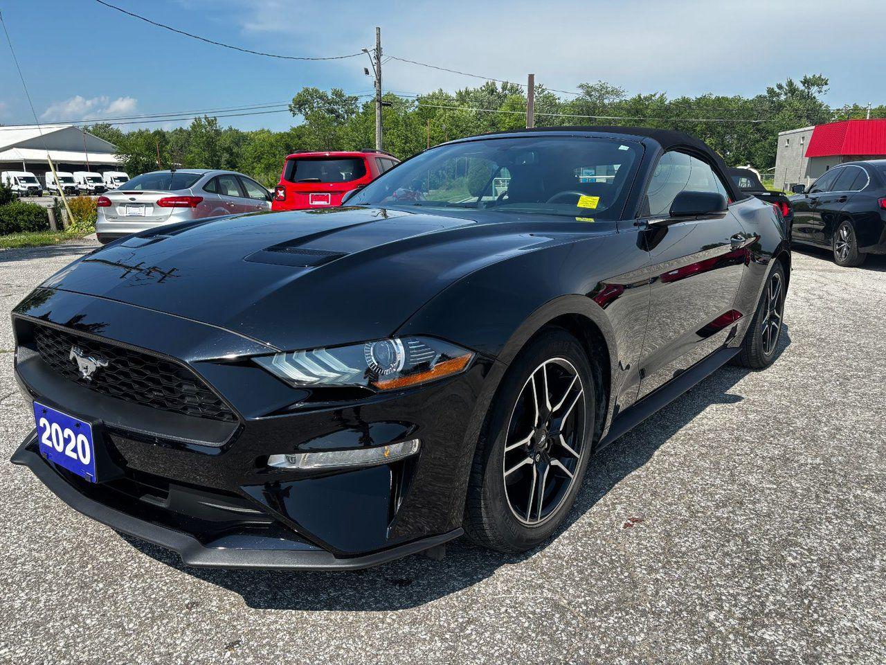 Used 2020 Ford Mustang EcoBoost Premium for sale in Essex, ON