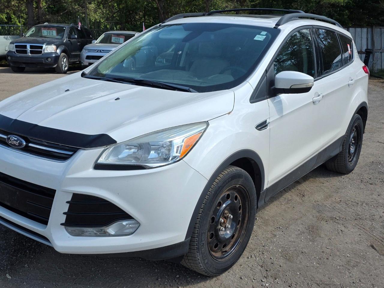 Used 2013 Ford Escape SEL for sale in Peterborough, ON