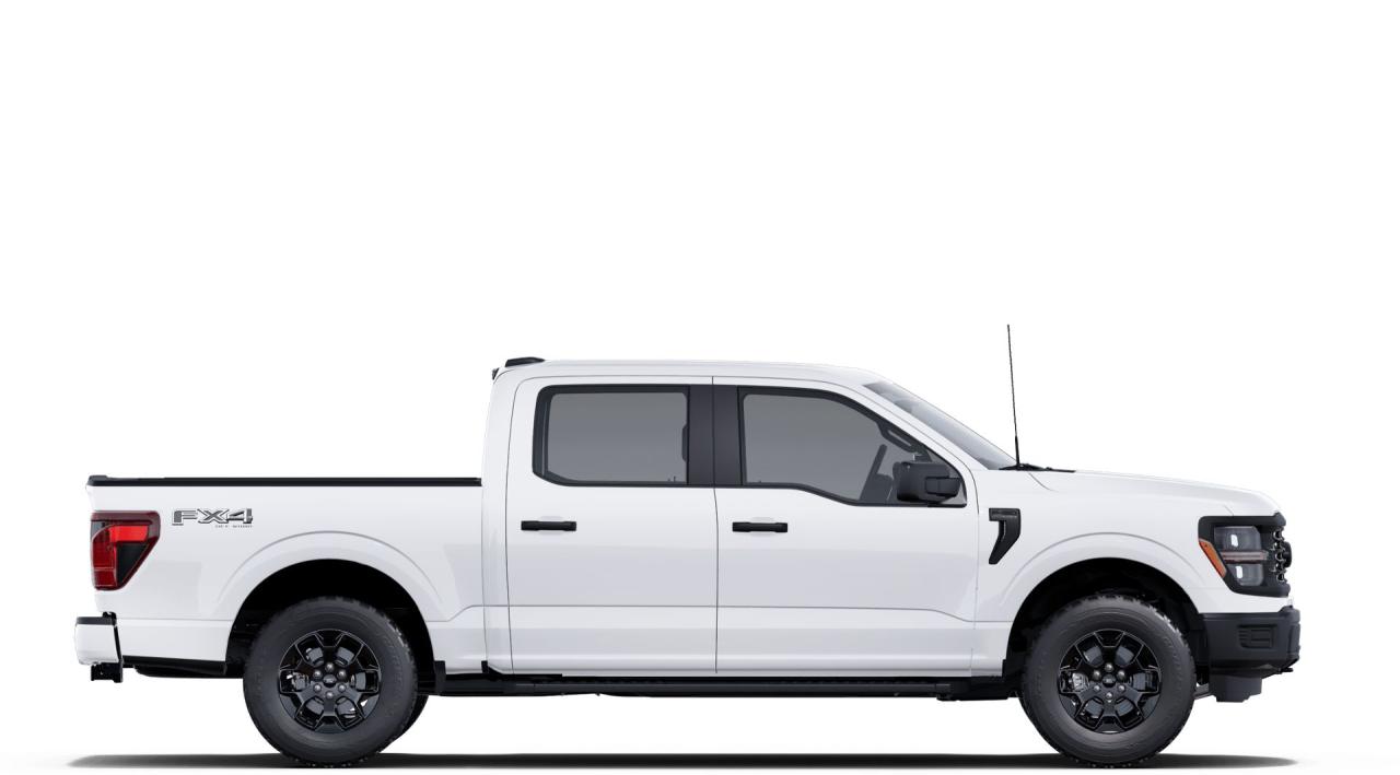2025 Ford F-150 STX® Photo4