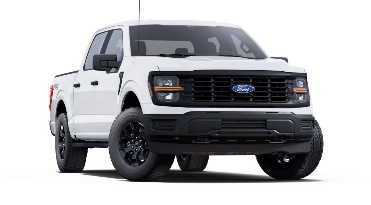 2025 Ford F-150 STX® Photo3