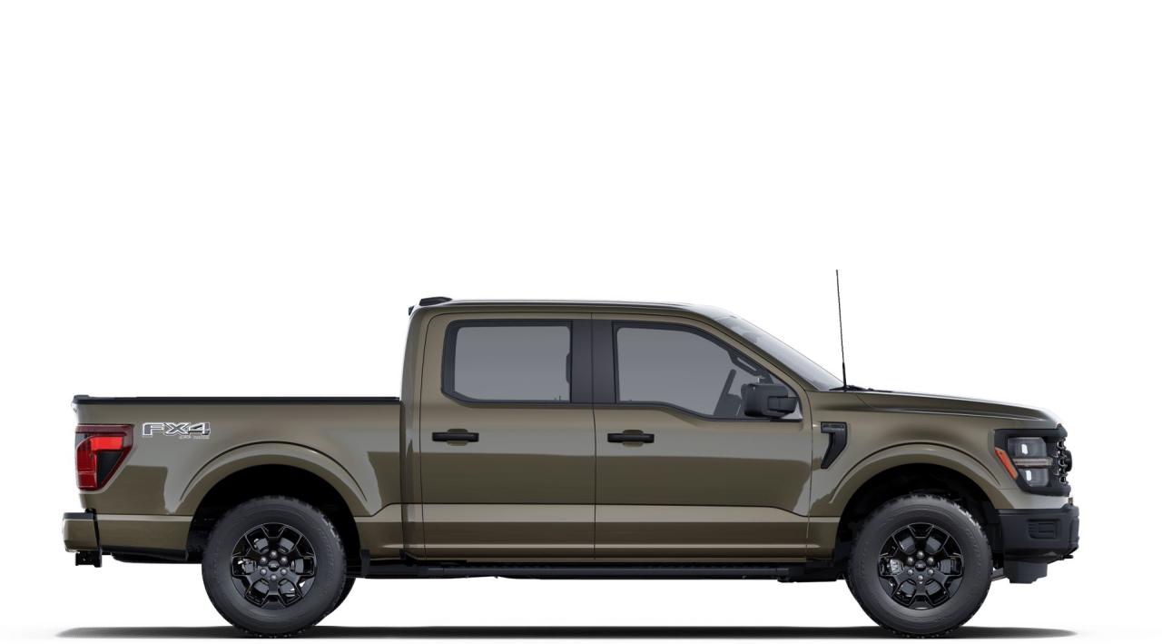 2025 Ford F-150 STX® Photo4