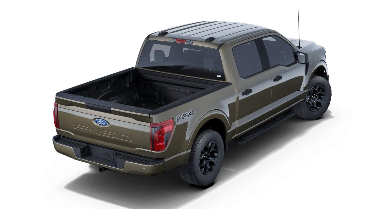 2025 Ford F-150 STX® Photo2