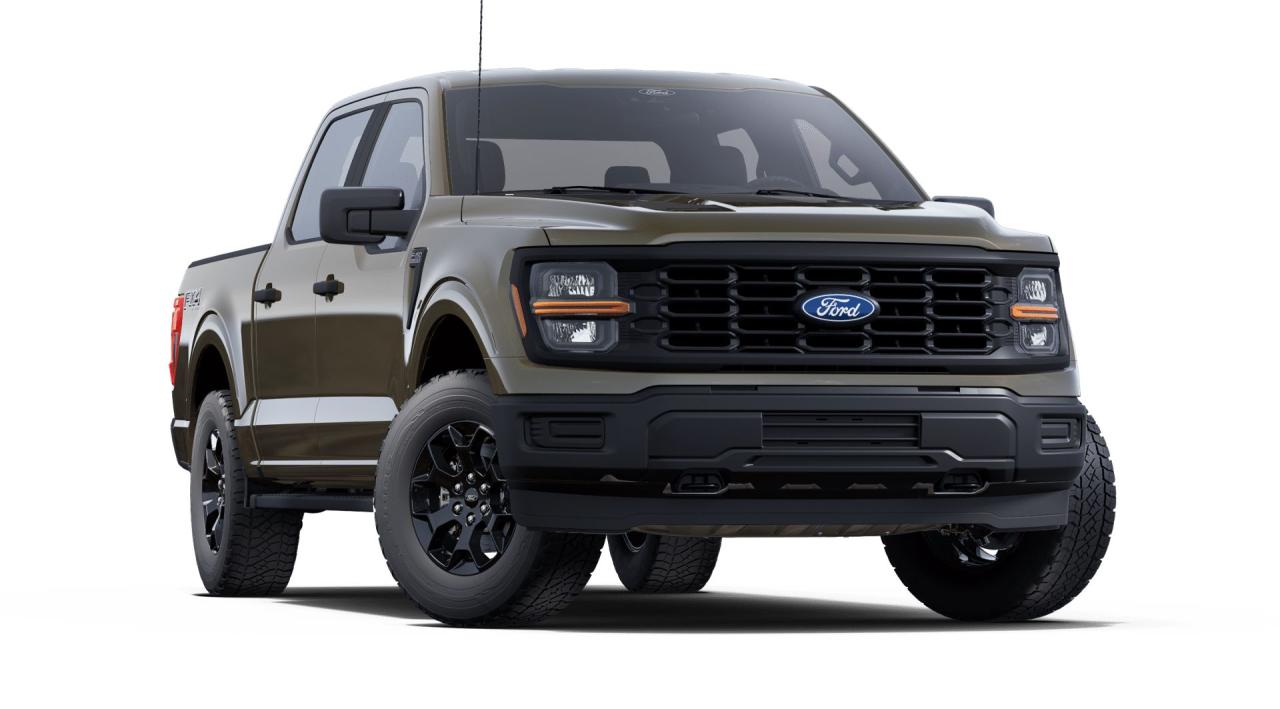 2025 Ford F-150 STX® Photo3