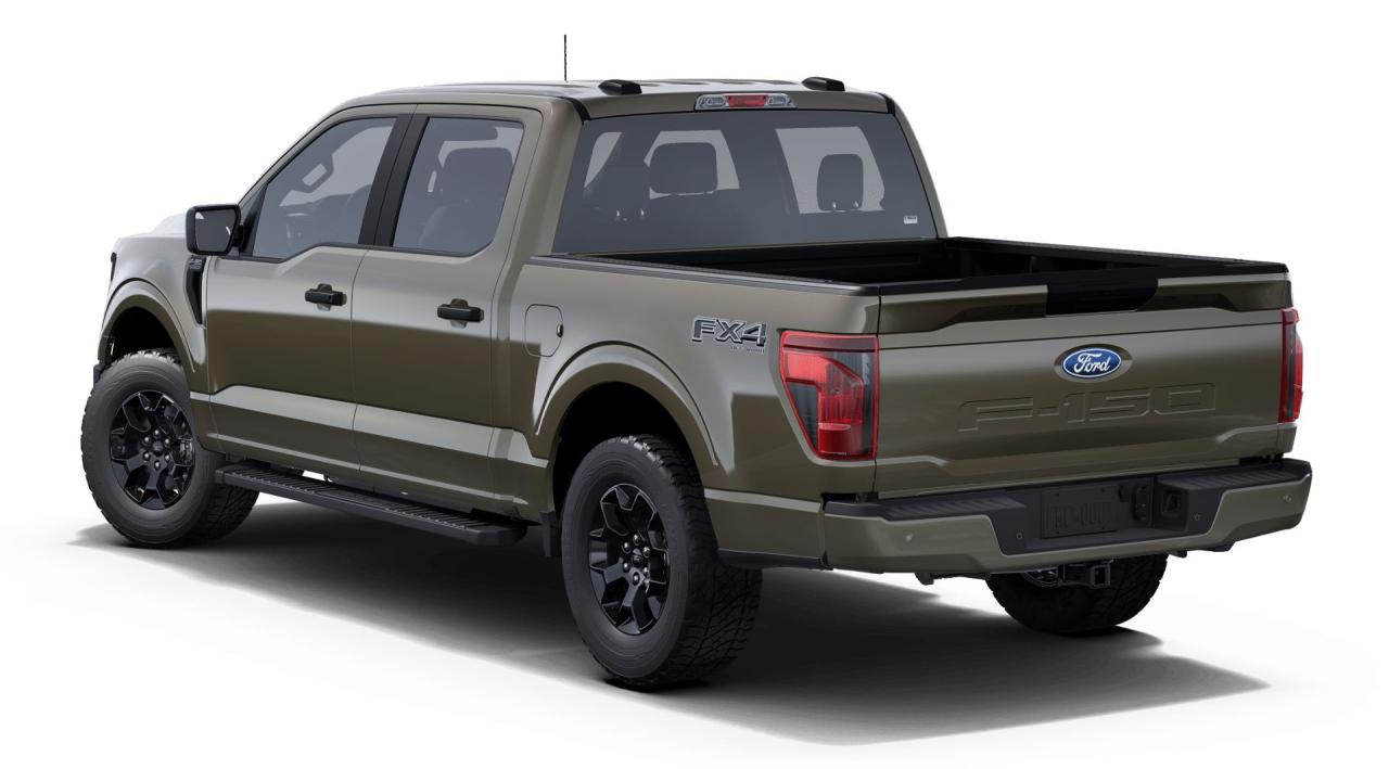 2025 Ford F-150 STX® Photo1