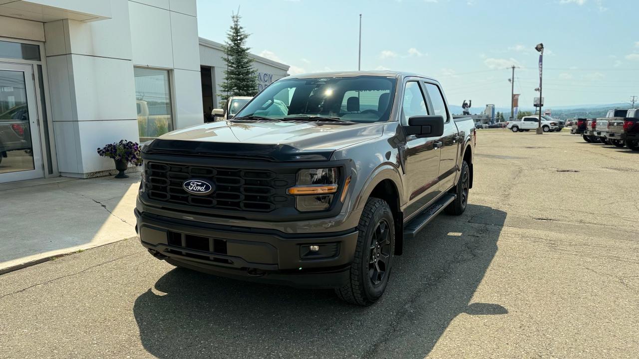 2025 Ford F-150 STX® Photo