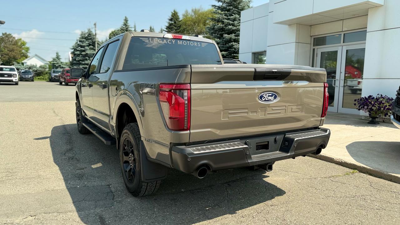 2025 Ford F-150 STX® Photo3