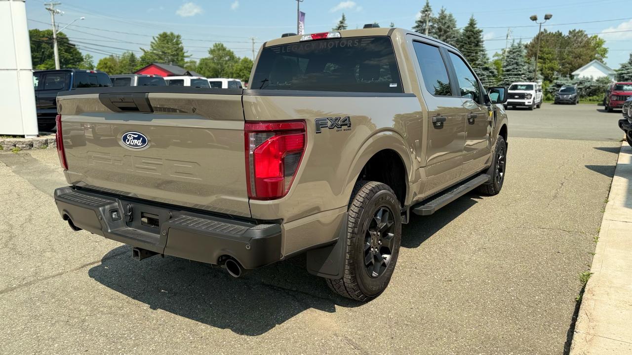 2025 Ford F-150 STX® Photo