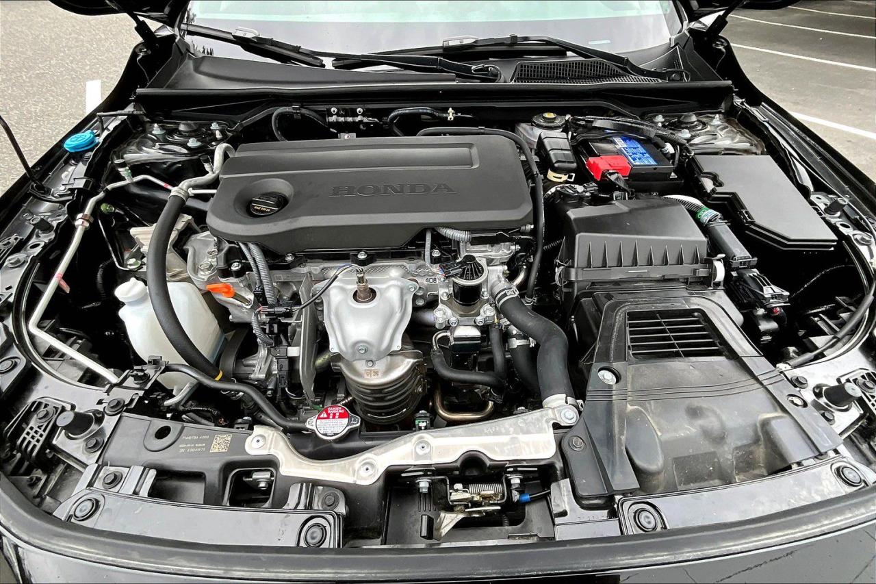 12699504