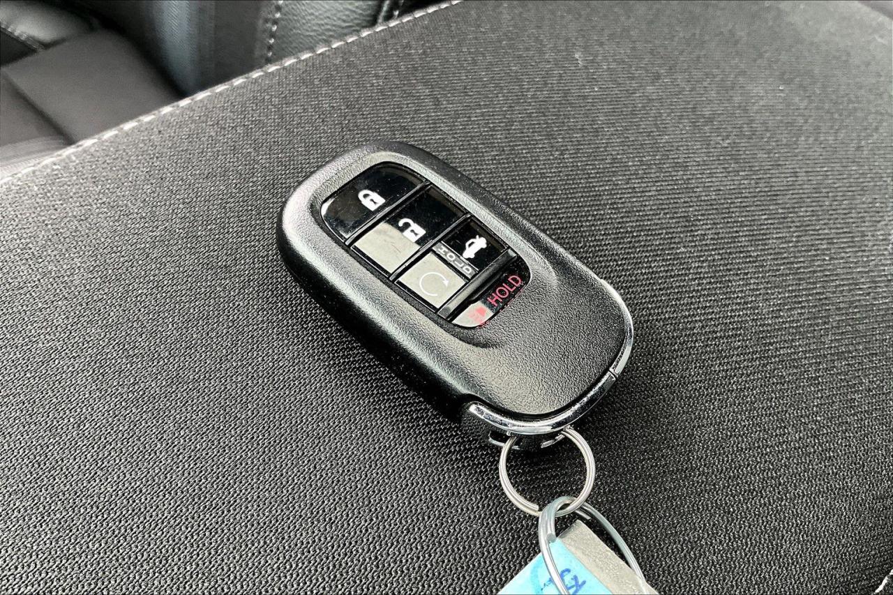 12699504