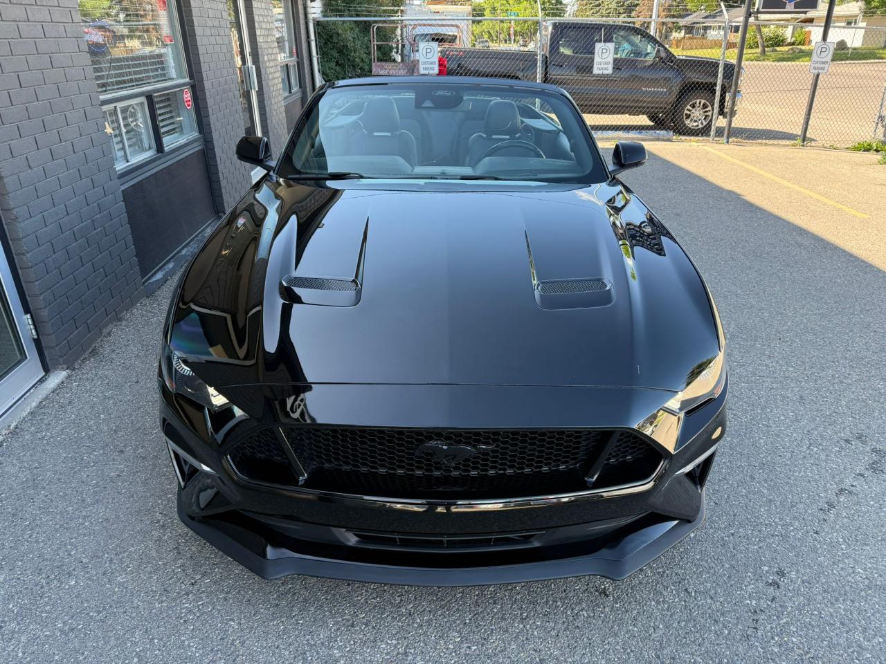 2021 Ford Mustang GT Premium Convertible - Photo #7