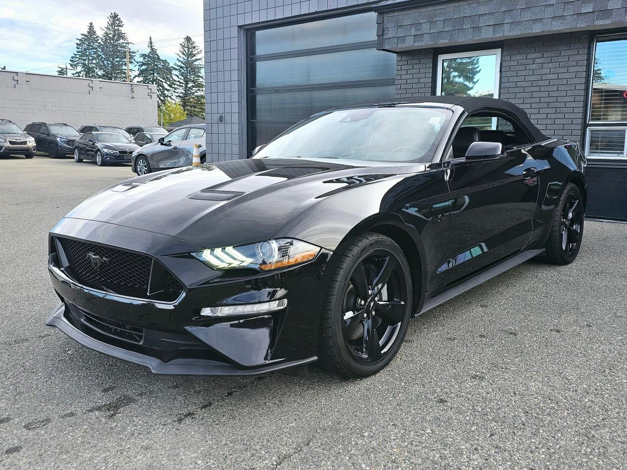 2021 Ford Mustang GT 5.0L V8 | PREMIUM | CONVERTIBLE - Photo #13