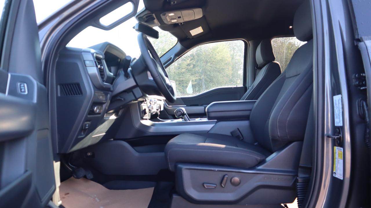 2025 Ford F-150 XLT Photo5
