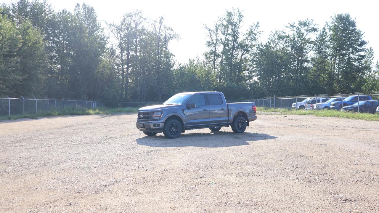 2025 Ford F-150 XLT Photo0