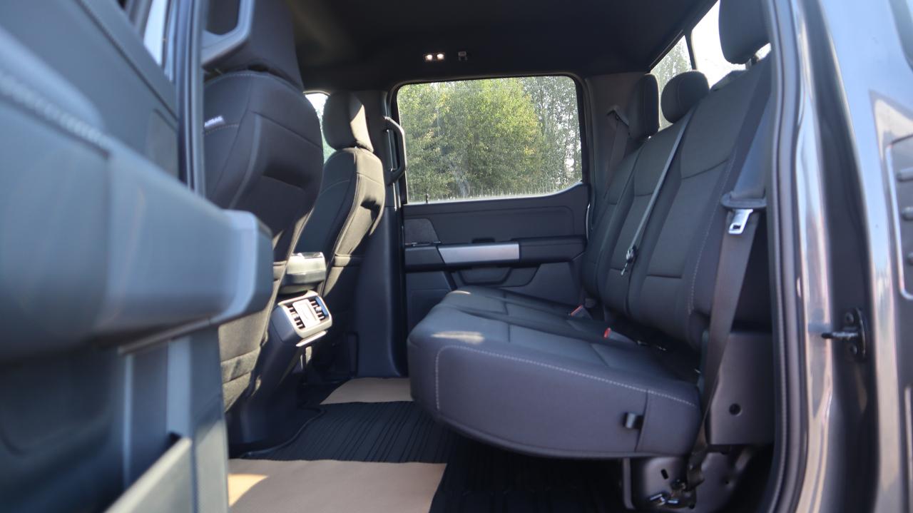 2025 Ford F-150 XLT Photo5