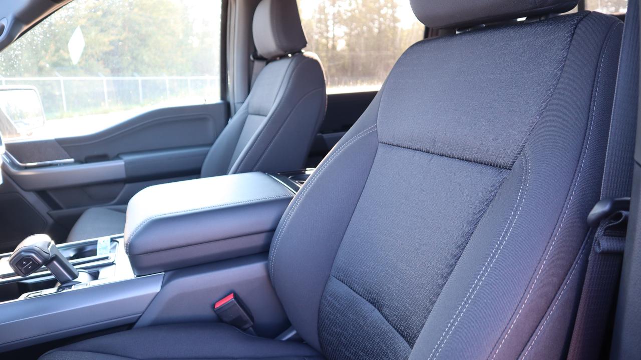 2025 Ford F-150 XLT Photo5