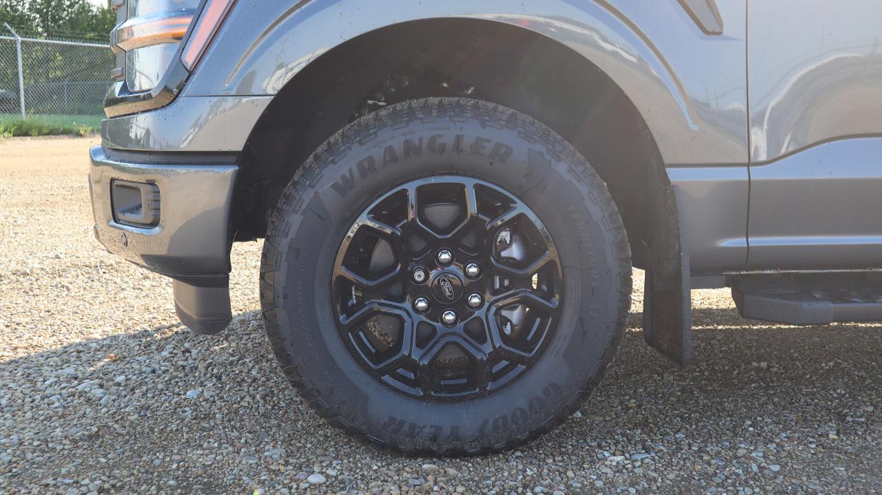 2025 Ford F-150 XLT Photo5