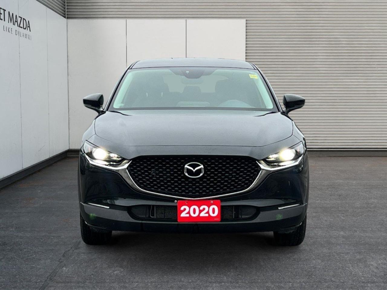 12700482