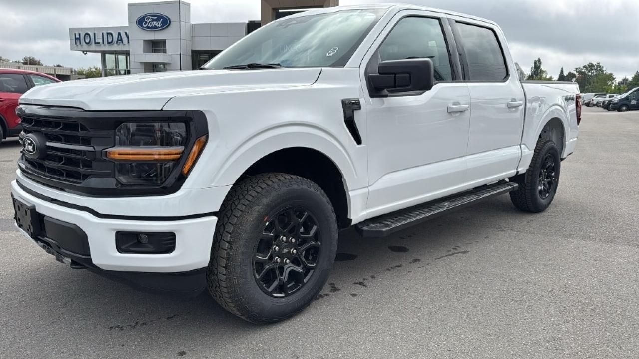 2025 Ford F-150 XLT Photo