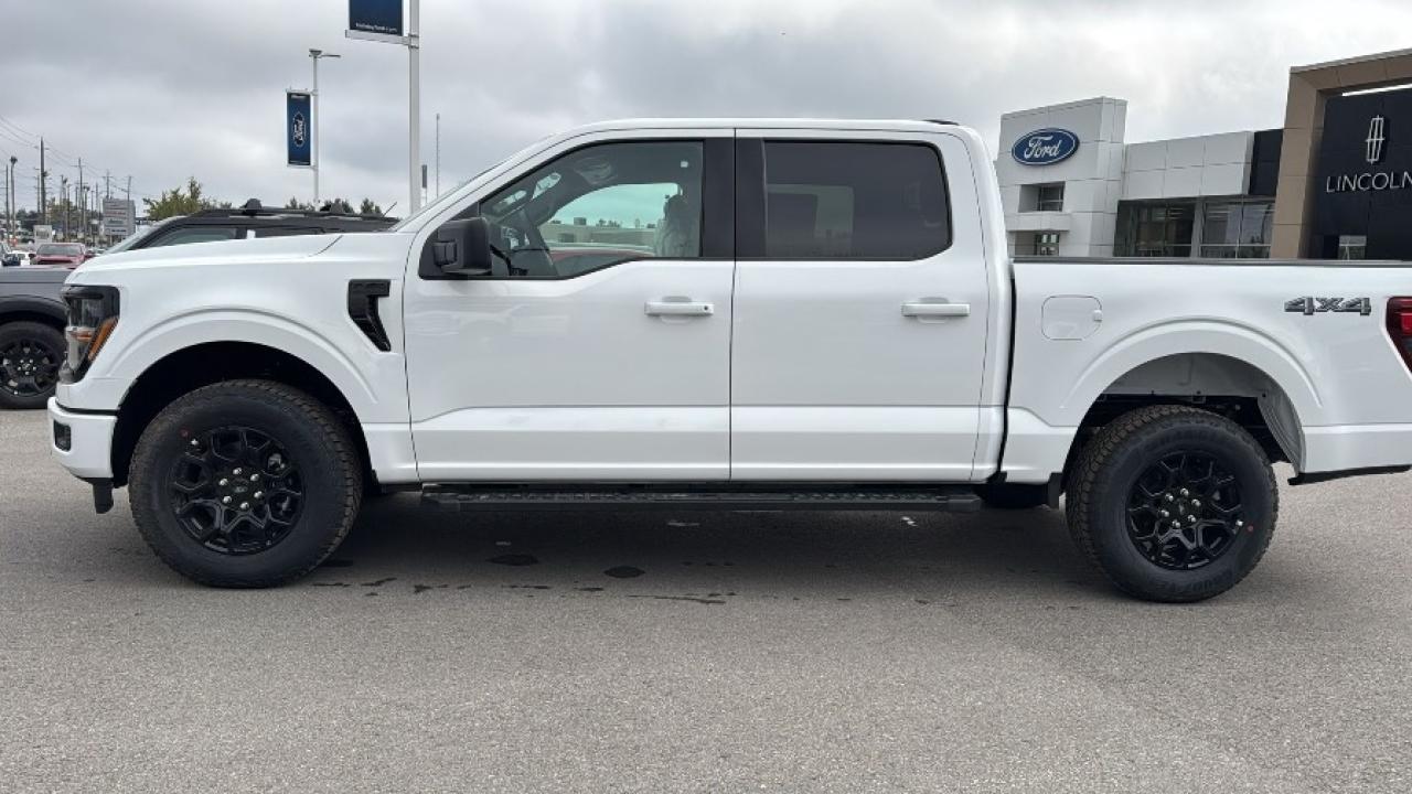 2025 Ford F-150 XLT Photo
