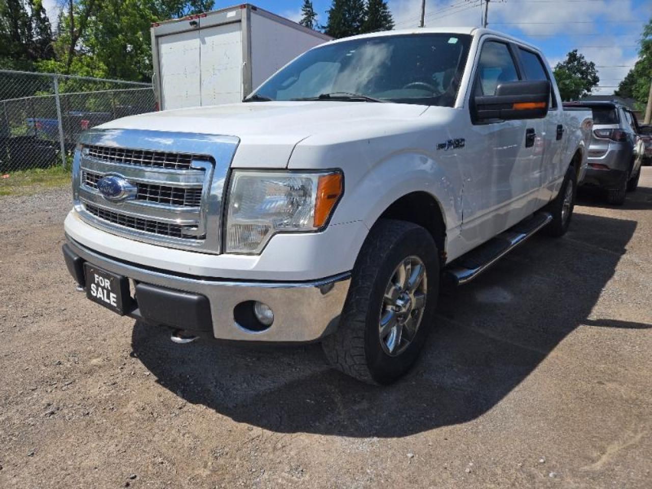 Used 2014 Ford F-150 XLT for sale in Peterborough, ON