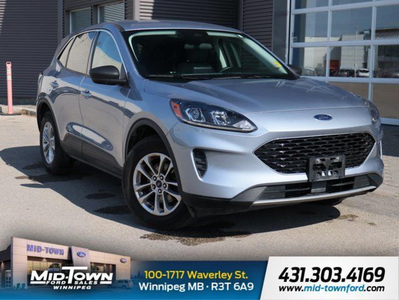 Used 2022 Ford Escape SE LOW KM CLEAN CARFAX LOCAL ESCAPE for sale in Winnipeg, MB