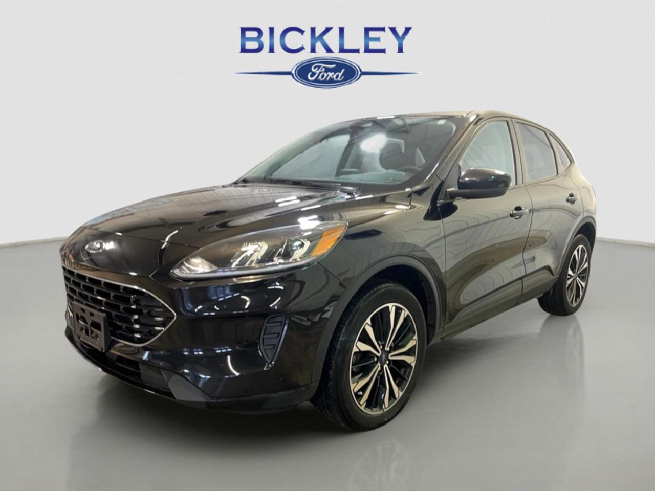 Used 2022 Ford Escape SE for sale in Huntsville, ON