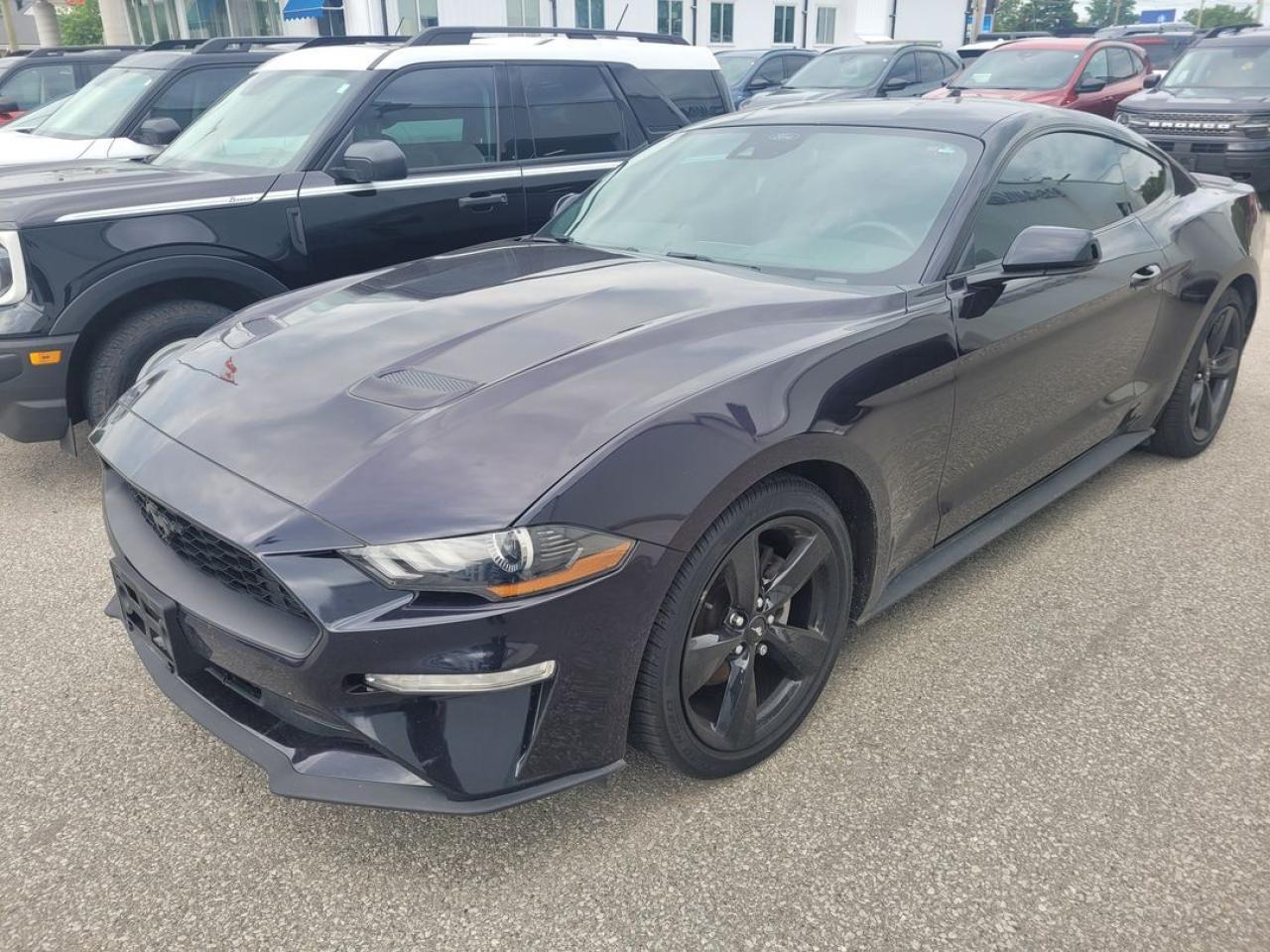 Used 2022 Ford Mustang EcoBoost Premium for sale in London, ON