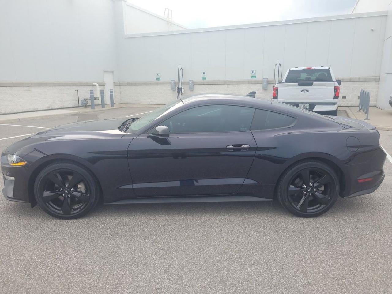 2022 Ford Mustang EcoBoost Premium Photo17