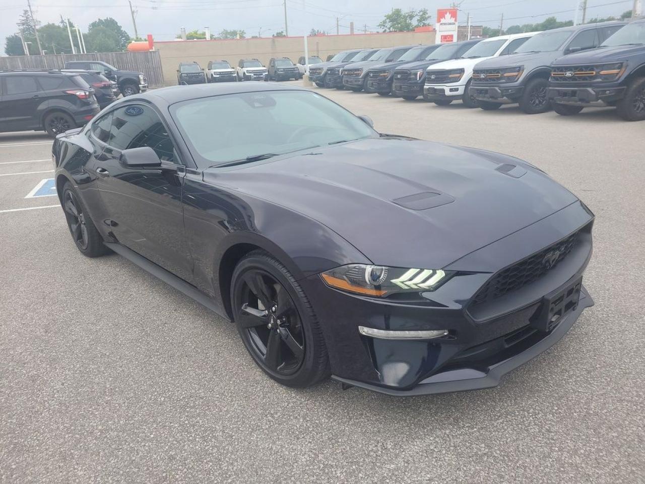 2022 Ford Mustang EcoBoost Premium Photo22