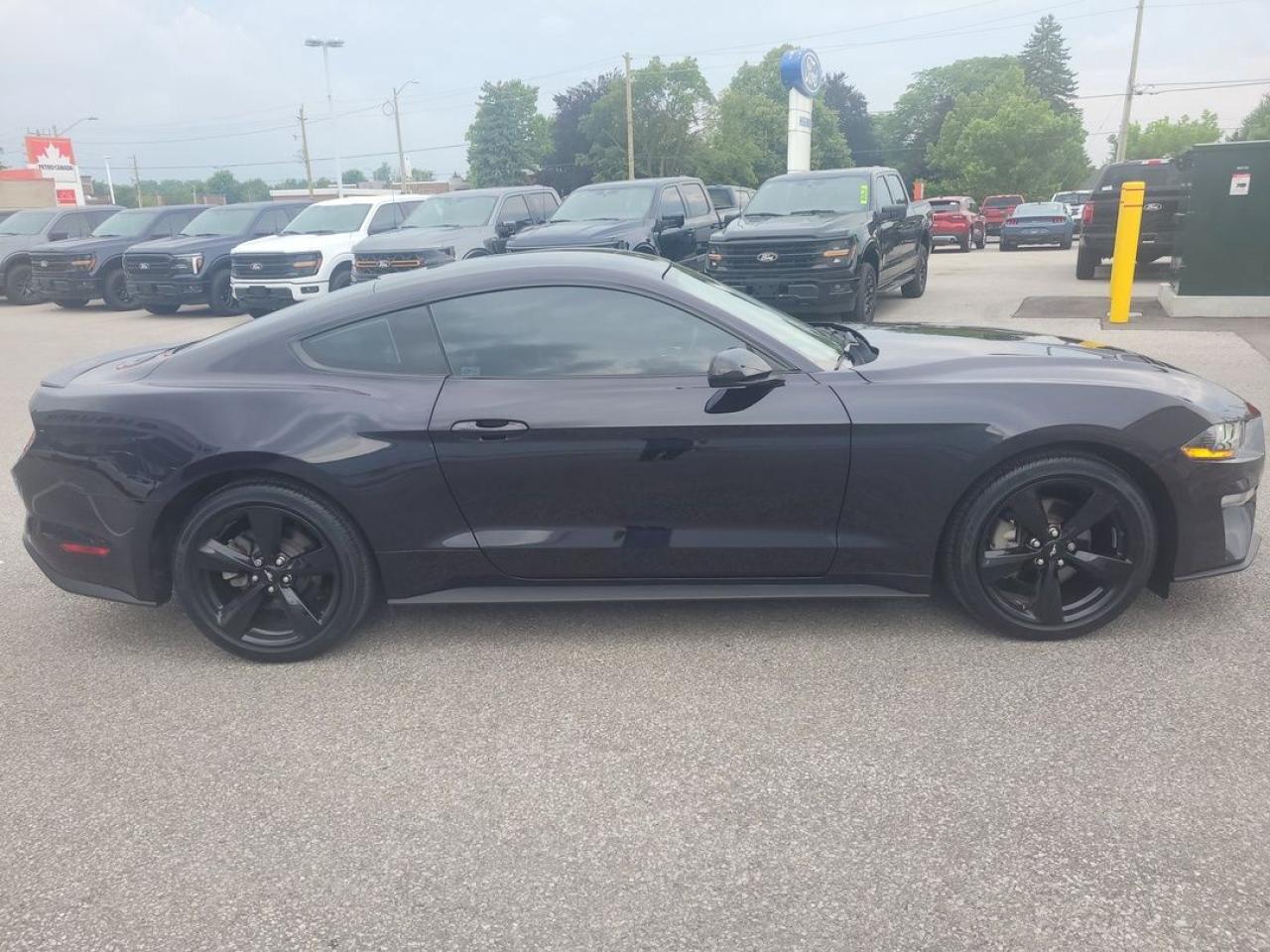 2022 Ford Mustang EcoBoost Premium Photo21