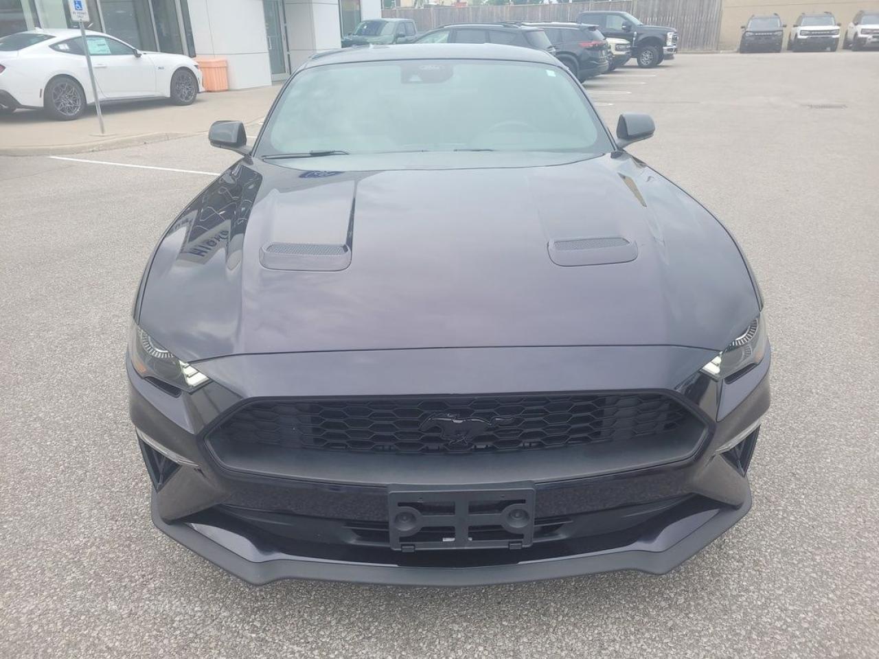 2022 Ford Mustang EcoBoost Premium Photo23