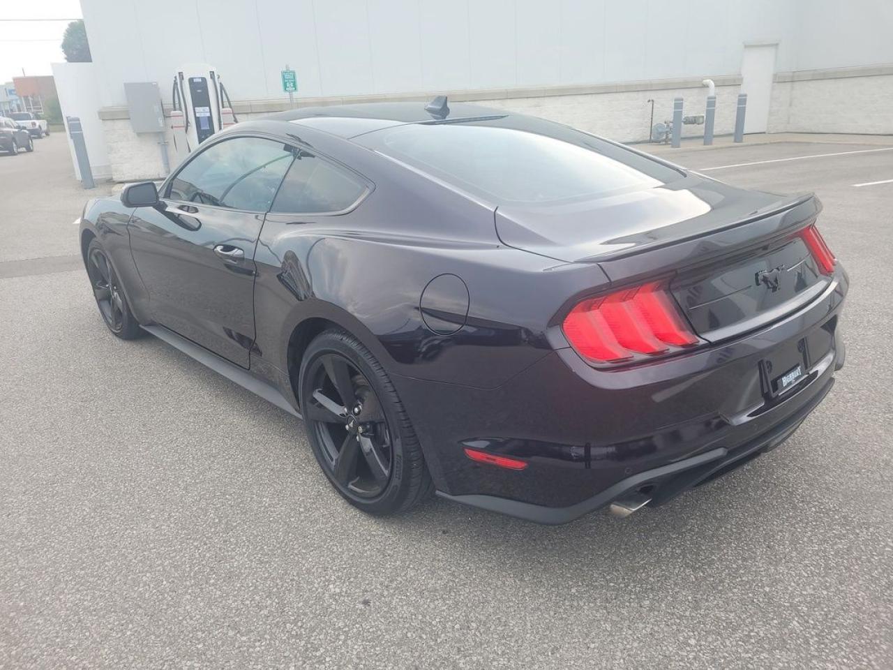 2022 Ford Mustang EcoBoost Premium Photo3