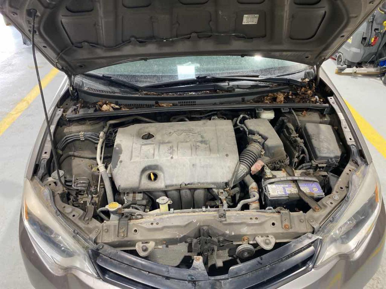 12703746