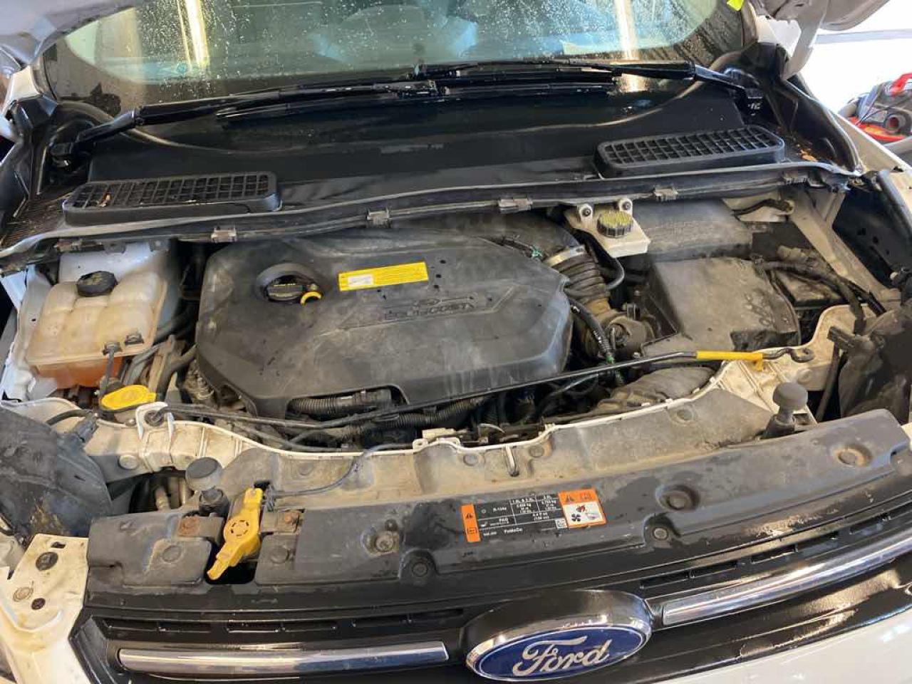 12703776