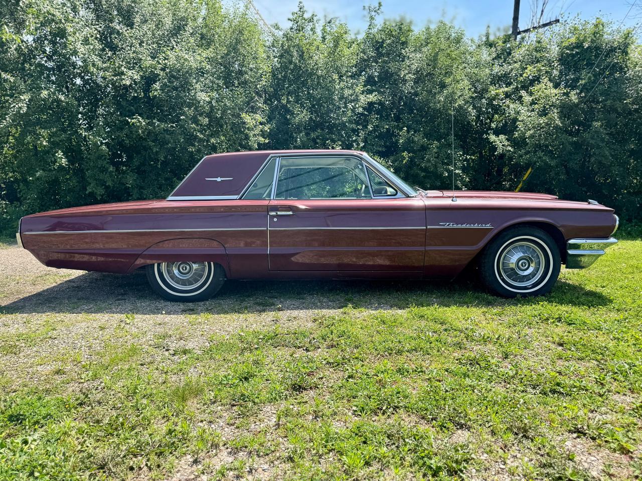 1964 Ford Thunderbird Tudor Hardtop 390 V8 4BBL - Photo #4