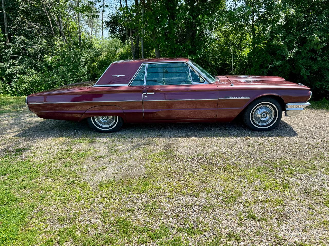 1964 Ford Thunderbird Tudor Hardtop 390 V8 4BBL - Photo #7