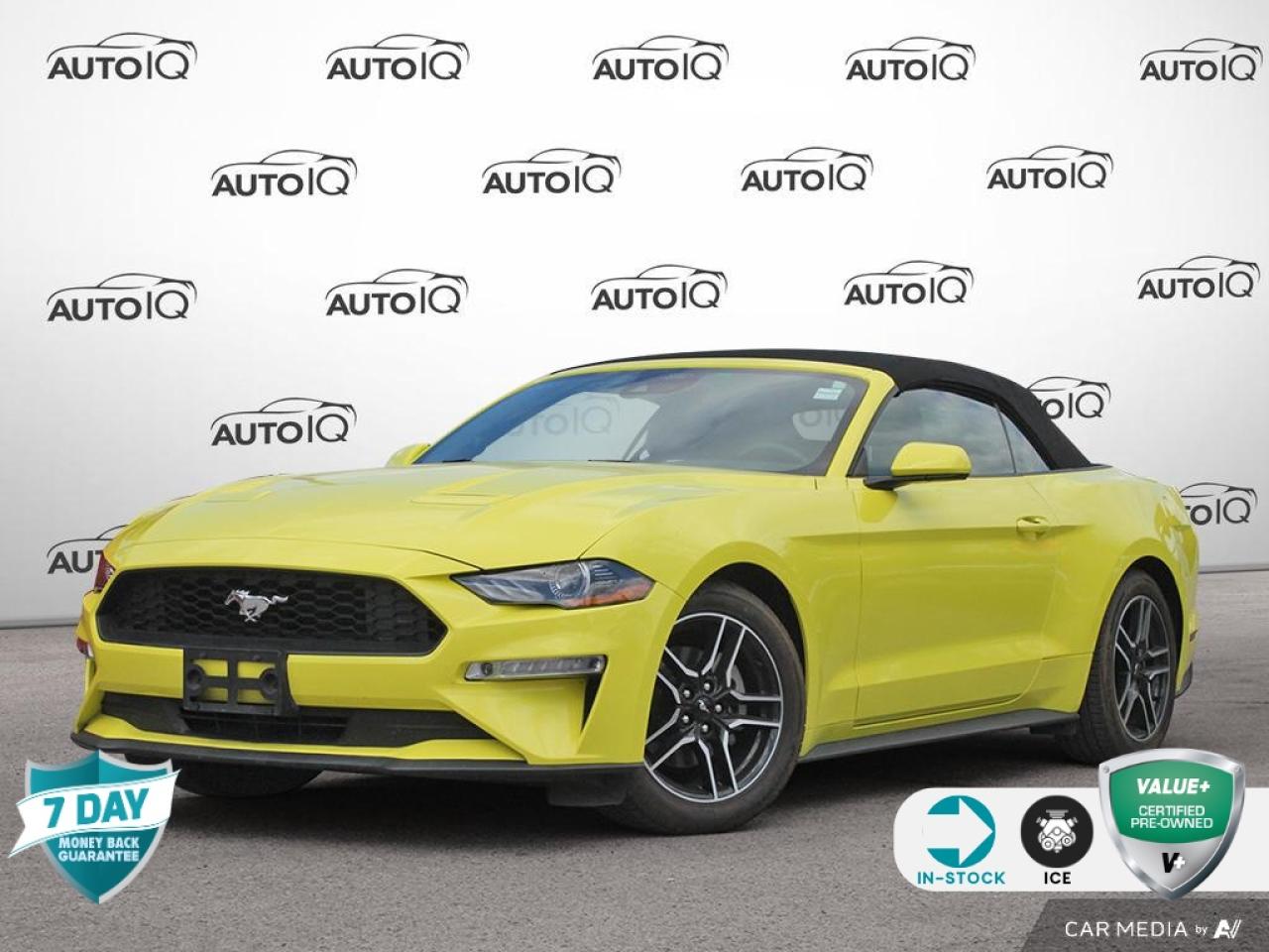 Used 2021 Ford Mustang EcoBoost Premium CONVERTIBLE | ACTIVE VALVE EXHAUST for sale in St. Thomas, ON