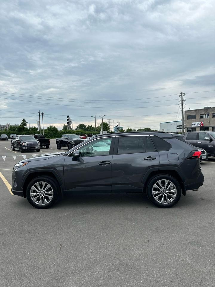 2023 Toyota RAV4 XLE Premium Photo